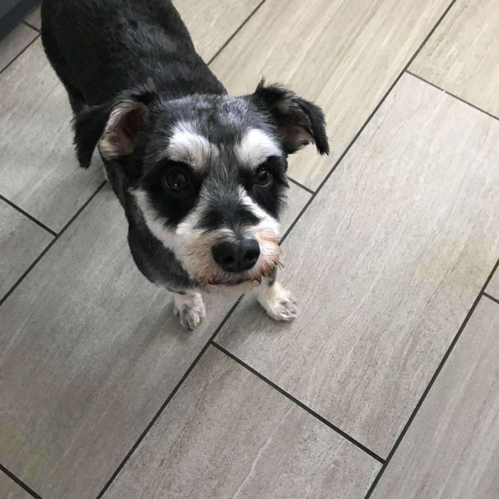 Meet your Posher, Diane